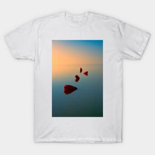 Tranquillity T-Shirt